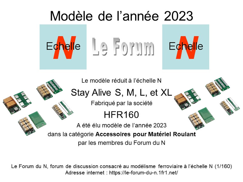 Modèles de l'année 2023 - Forum du N - Page 2 Forum_2023_modele_de_l_annee_low